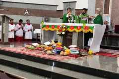 IMG-20250225-WA0005