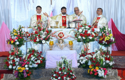 Christmas & New Year