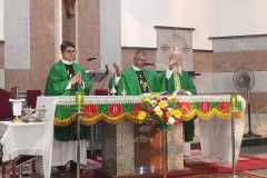 IMG-20250301-WA0007